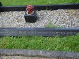 image of grave number 270956